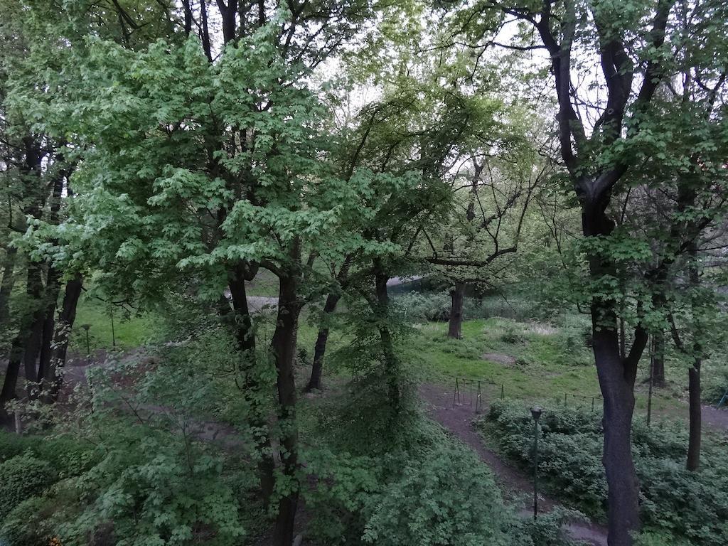 Nice Place Krasków Cameră foto